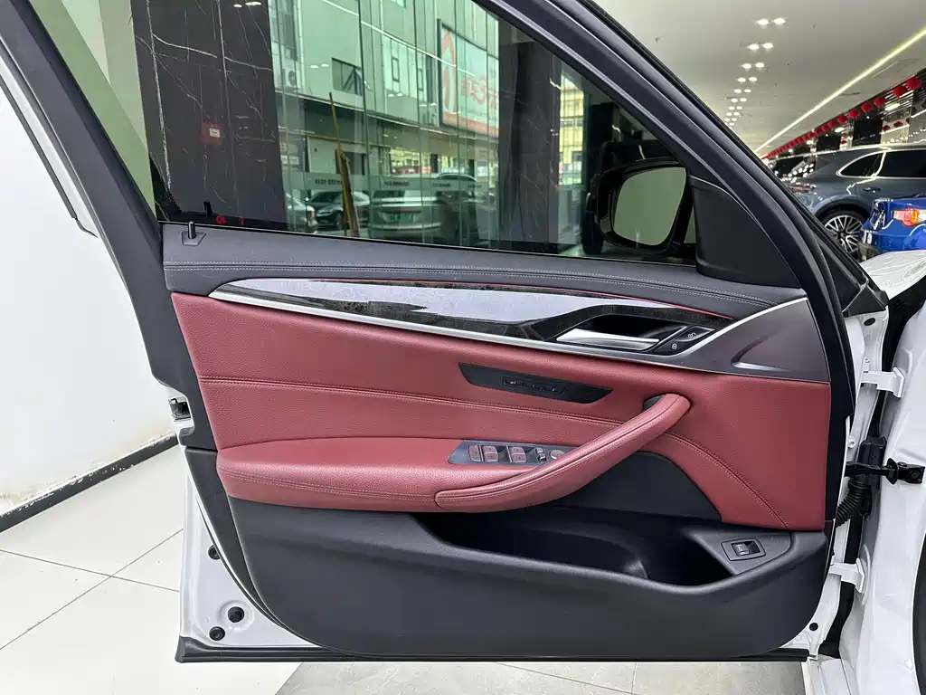 BMW 5 Series 2020 530Li Leading Model M Sport Package