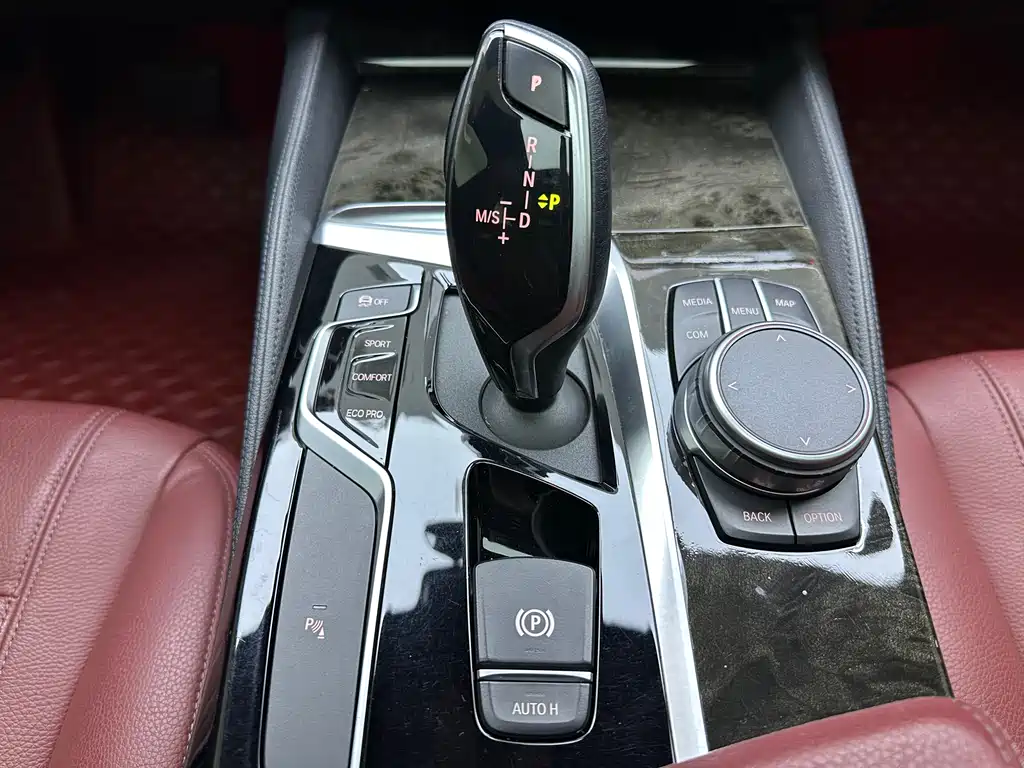 BMW 5 Series 2020 530Li Leading Model M Sport Package