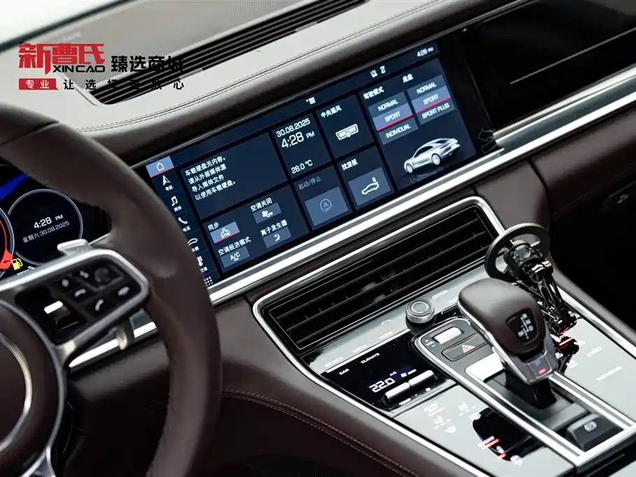 Panamera 2020 Panamera 10th Anniversary Edition 2.9T