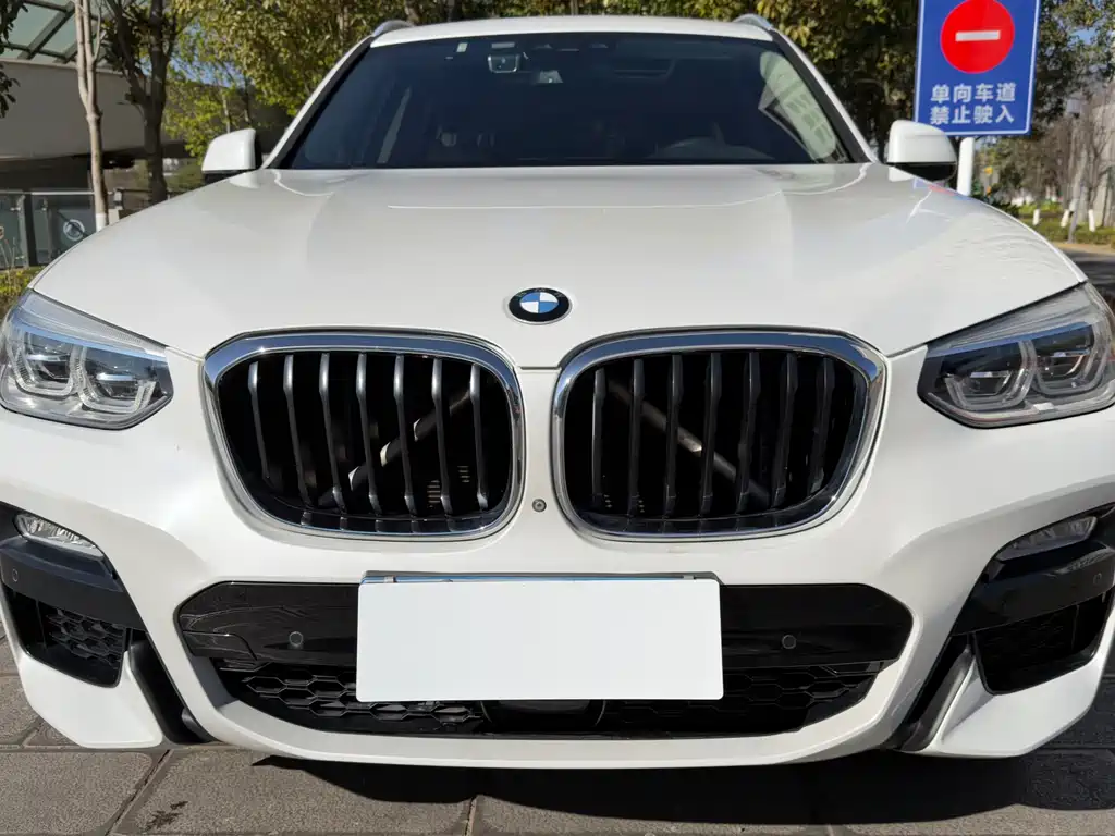 BMW X3 2018 xDrive30i Leading Edition M Sport Package China V