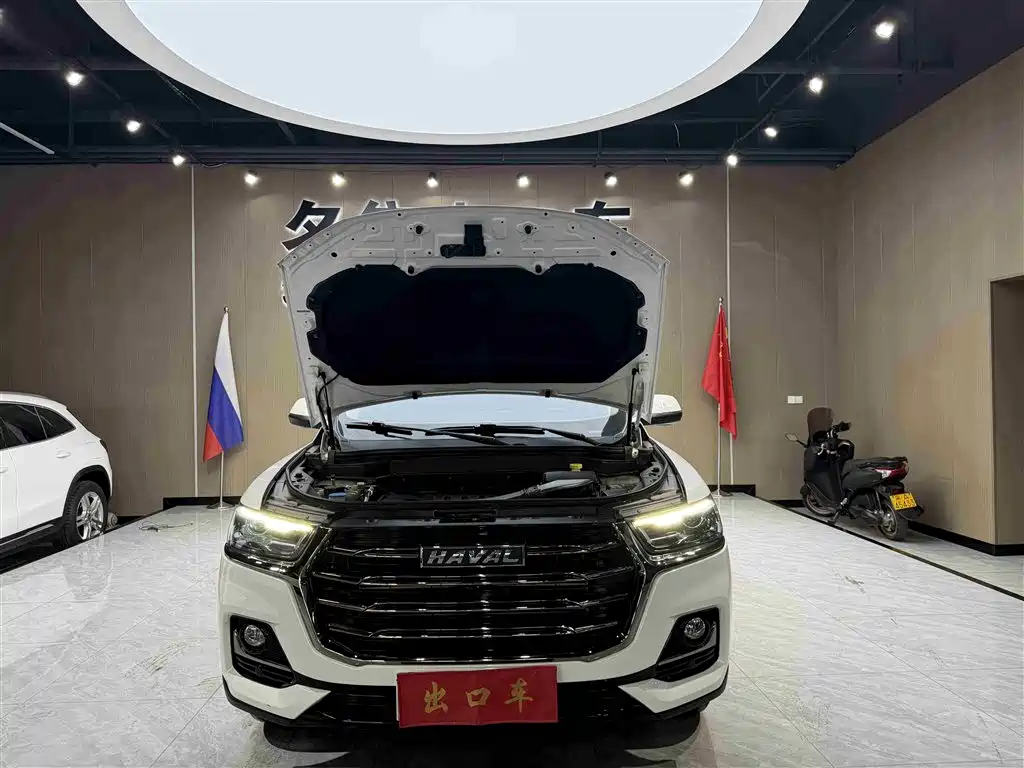Haval H6 2021 Guochao Edition 1.5T Automatic Urban Edition