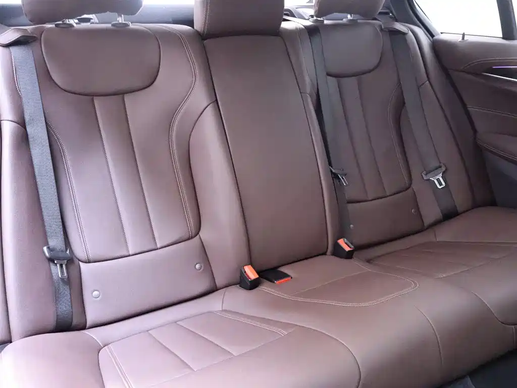 BMW 5 Series 2020 525Li M Sport Package