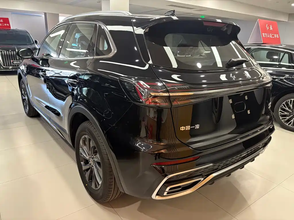 Hongqi HS5 2025 2.0T FWD Qixiang Pro