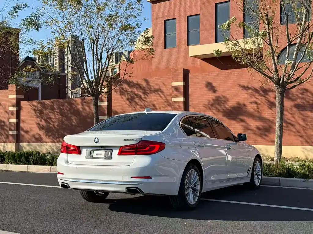 BMW 5 Series 2019 530Li Leading Edition Luxury Package