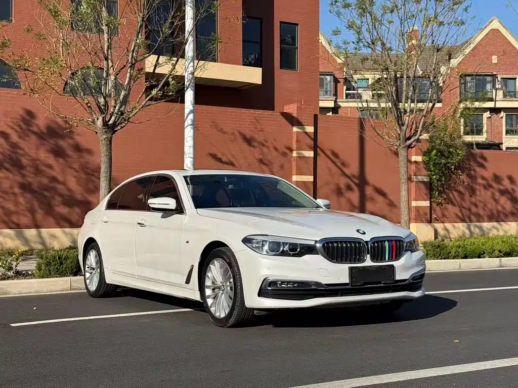 BMW 5 Series 2019 530Li Leading Edition Luxury Package