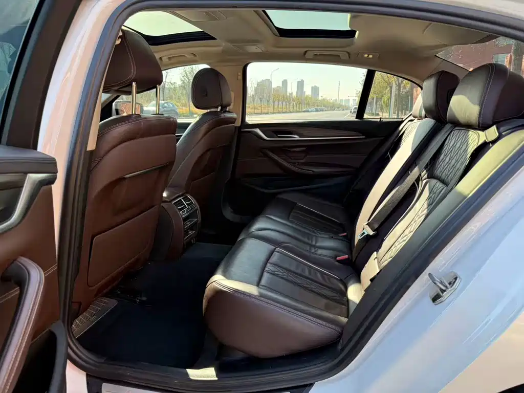 BMW 5 Series 2019 530Li Leading Edition Luxury Package