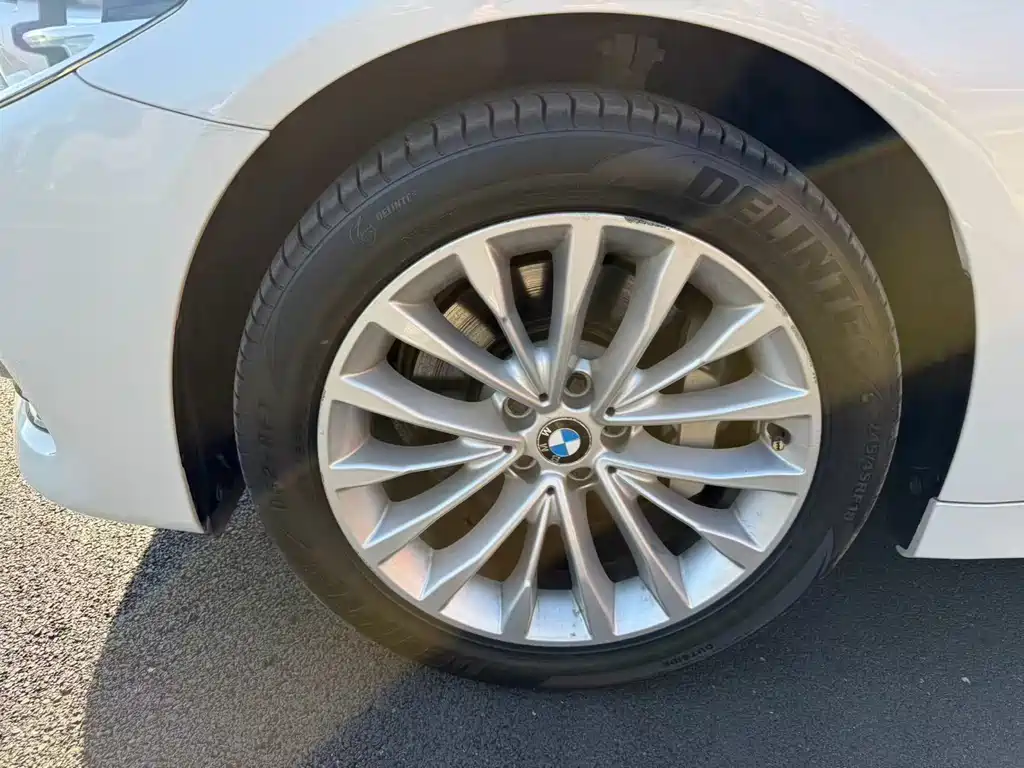 BMW 5 Series 2019 530Li Leading Edition Luxury Package