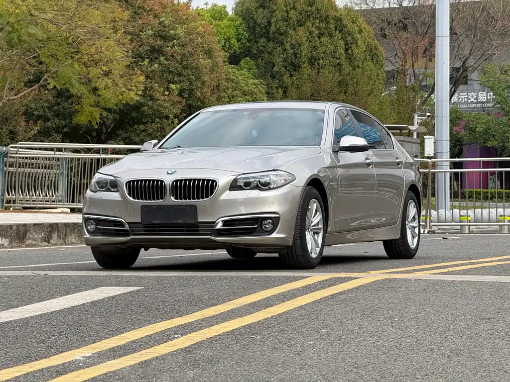 BMW 5 Series 2013 520Li Classic Edition