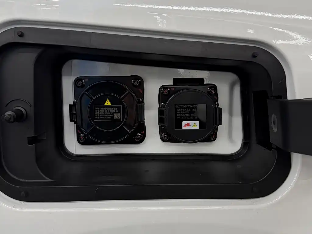 Dora Van 2026 305km 2C Supercharge Dream Edition CATL Battery
