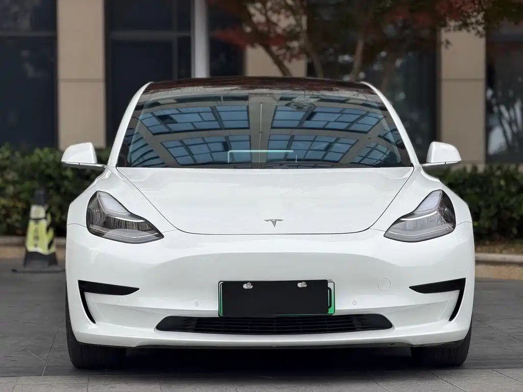 Model 3 2020 Standard Range Plus RWD