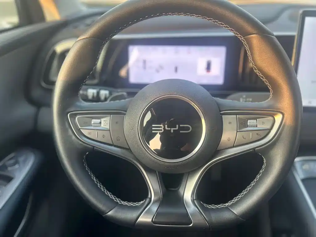 Sea Lion 05 EV 2025 520KM Smart Navigation Edition