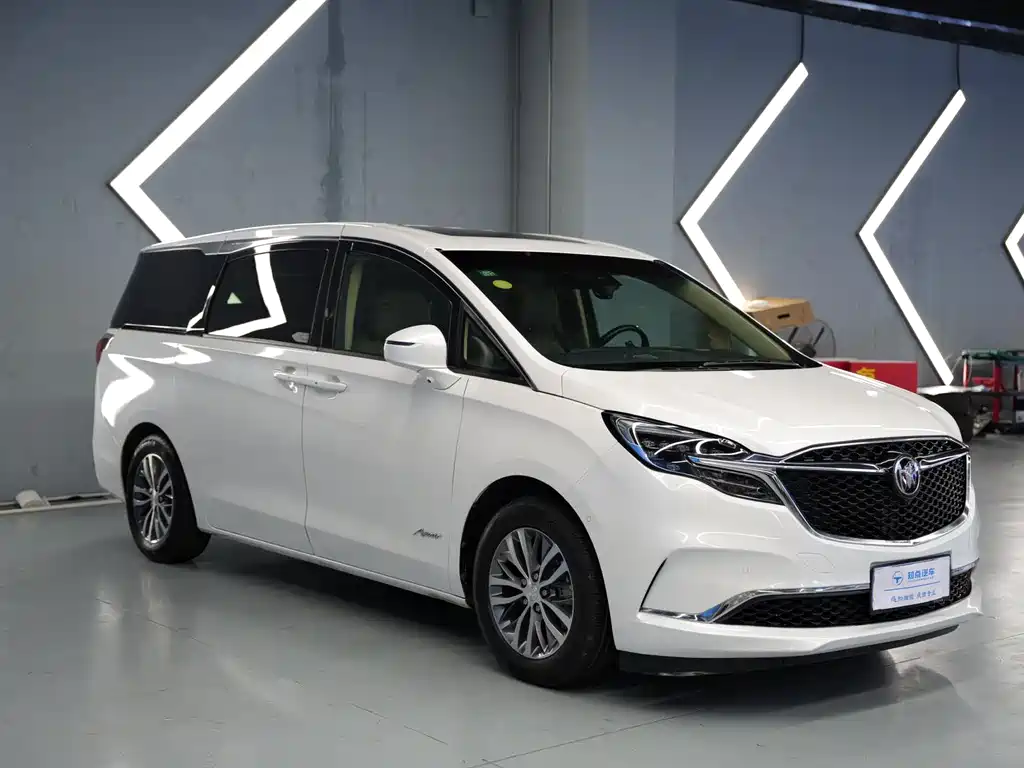 Buick GL8 2021 ES Luxury 653T Premium