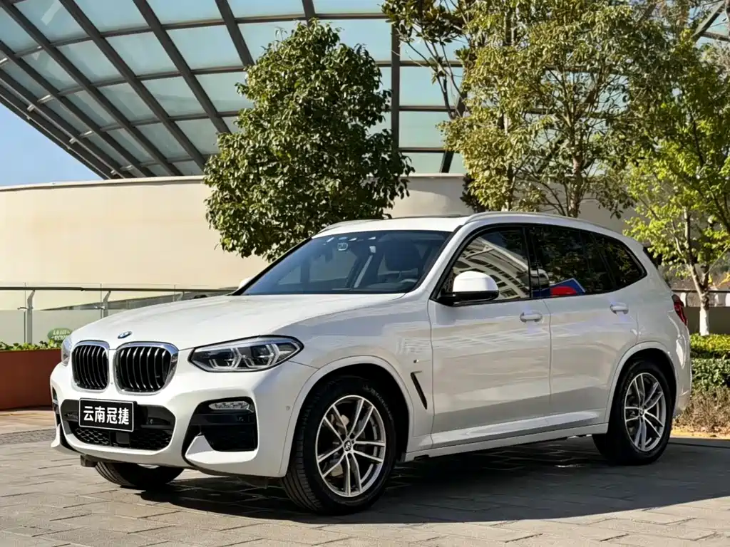 BMW X3 2018 xDrive30i Leading Edition M Sport Package China V
