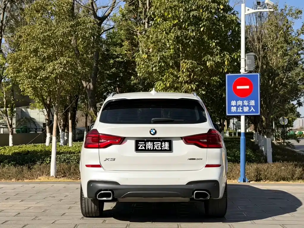 BMW X3 2018 xDrive30i Leading Edition M Sport Package China V