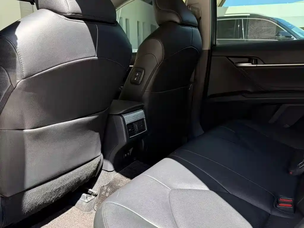 Camry 2019 Hybrid 2.5HG Luxury Edition China V