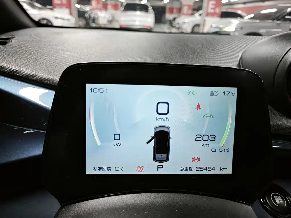 BYD Dolphin 2023 401km Knight Edition