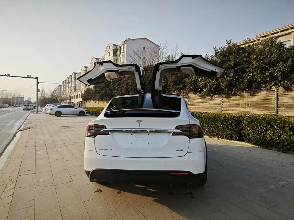 Tesla Model X 2017 Model X 100D Long Range