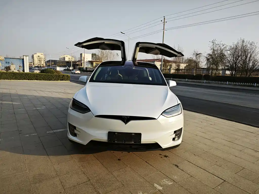Tesla Model X 2017 Model X 100D Long Range