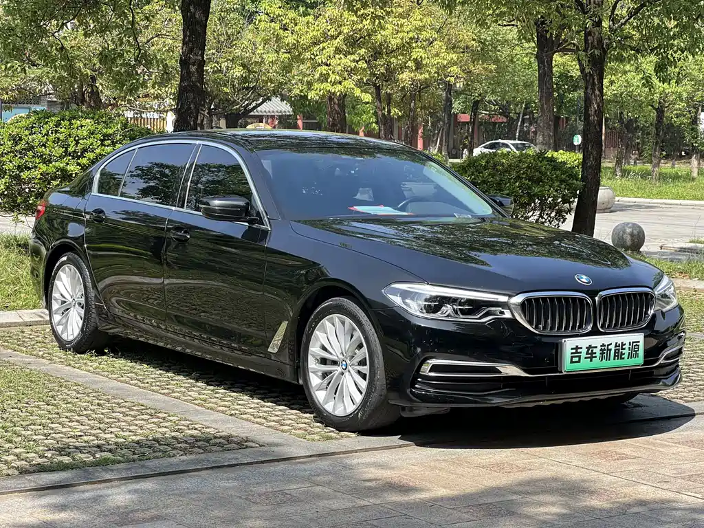BMW 5 Series 2020 530Le Luxury Package