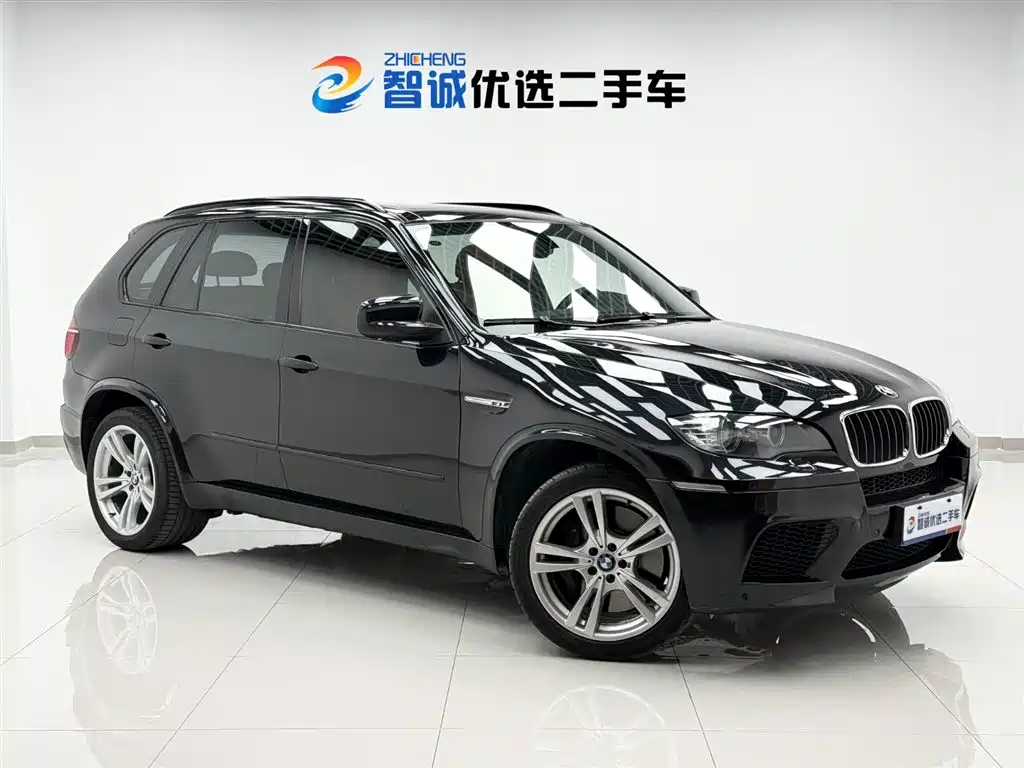 BMW X5 M 2010 X5 M
