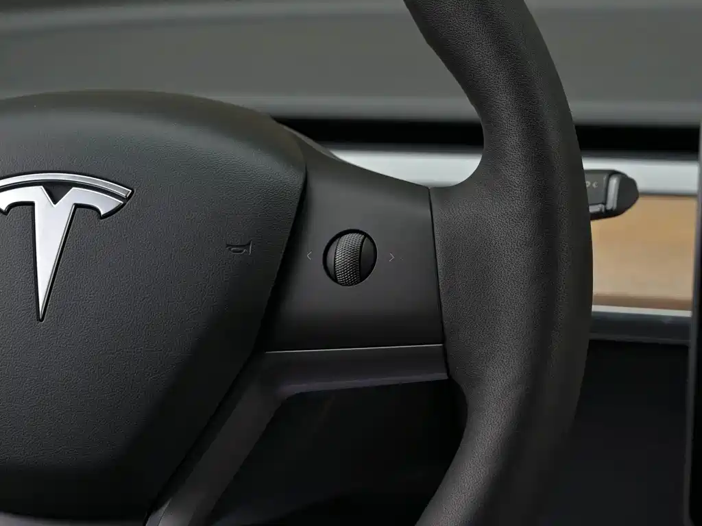 Model Y 2021 Long Range AWD