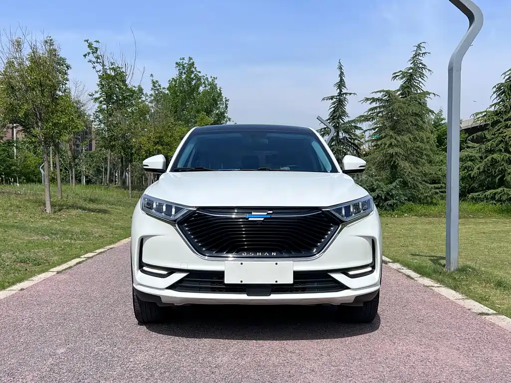 Changan Oshan X7 2021 1.5T Automatic Luxury Edition