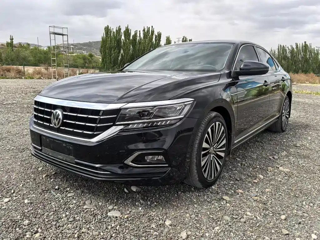 Volkswagen Passat 2019 330TSI Luxury Edition China VI