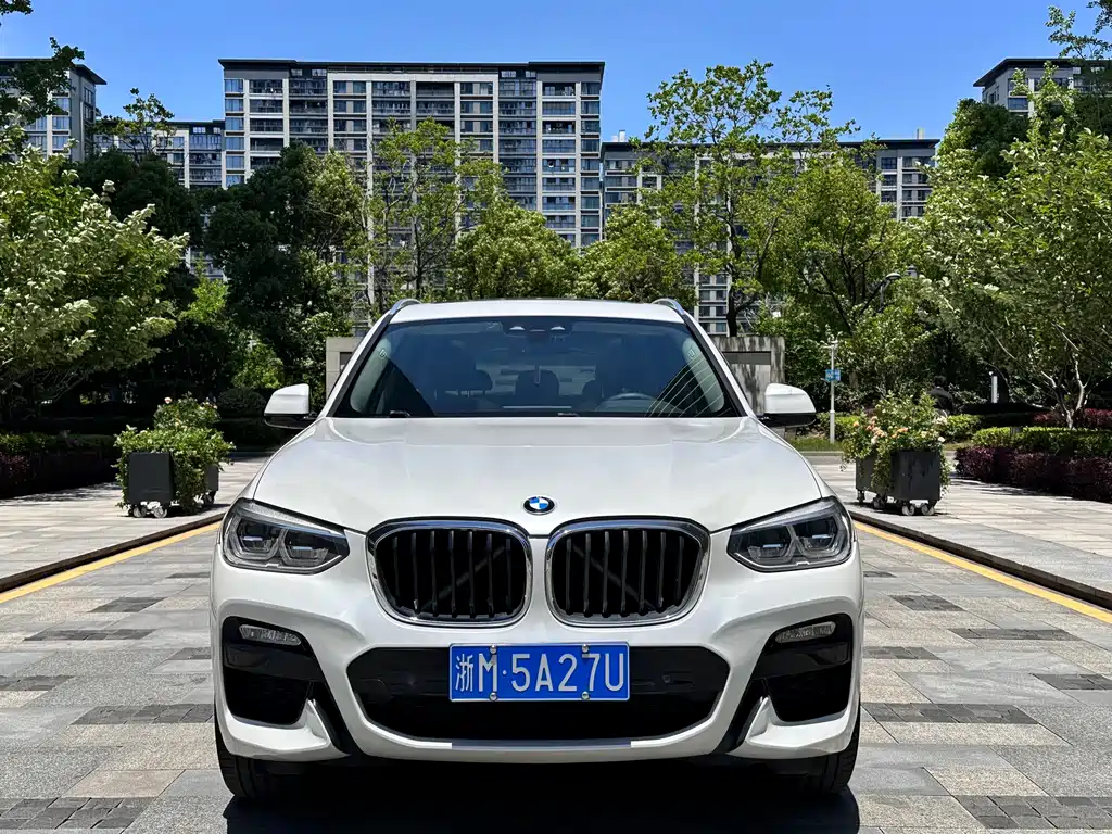 BMW X3 2018 xDrive25i M Sport Package China V