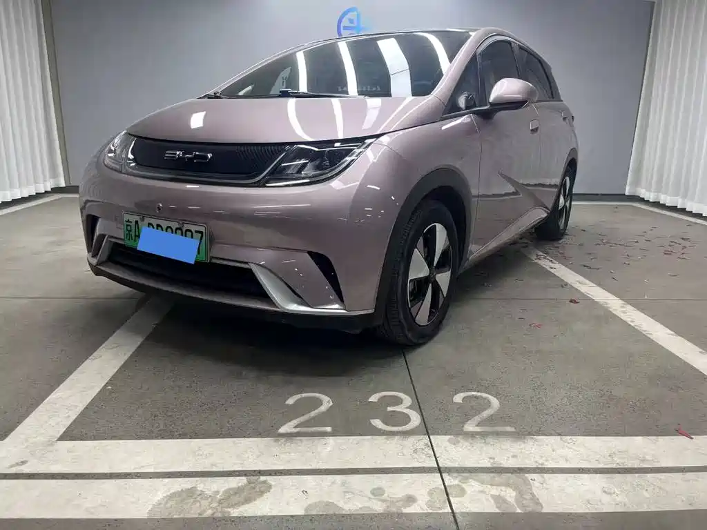 Dolphin 2023 420km Fashion Edition