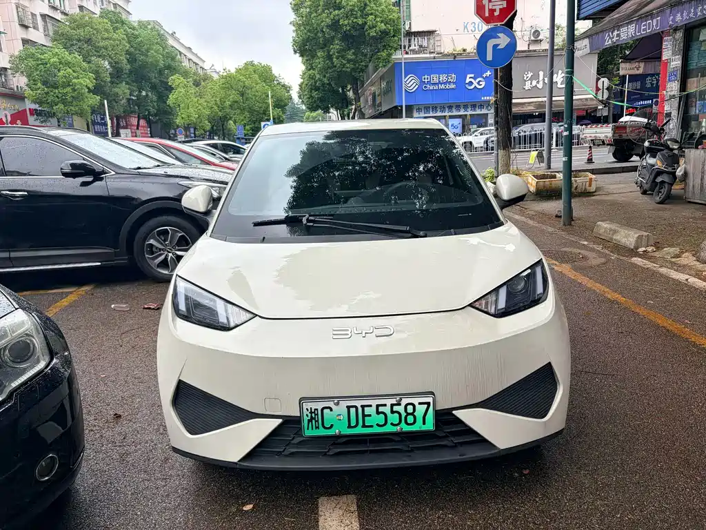 BYD Seagull 2023 Vitality Edition