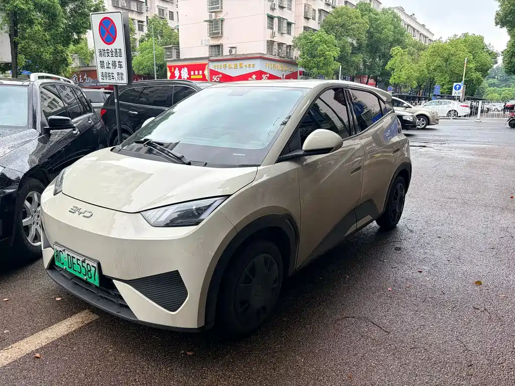 BYD Seagull 2023 Vitality Edition