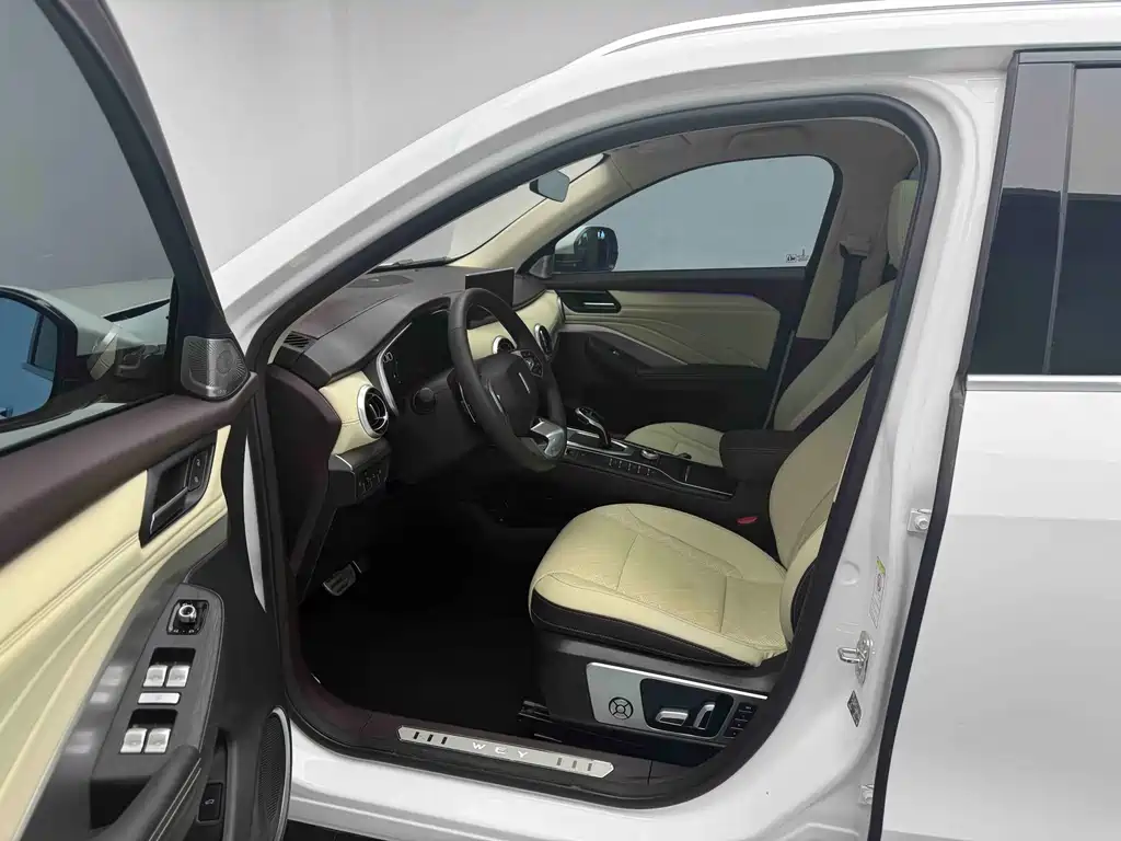 WEY VV6