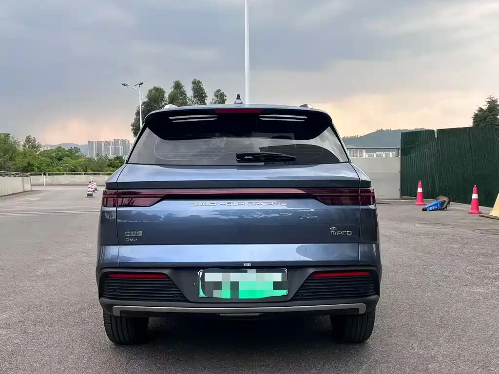 Song Pro New Energy 2024 Honor Edition DM-i 71KM Pilot