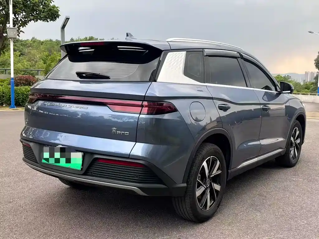 Song Pro New Energy 2024 Honor Edition DM-i 71KM Pilot