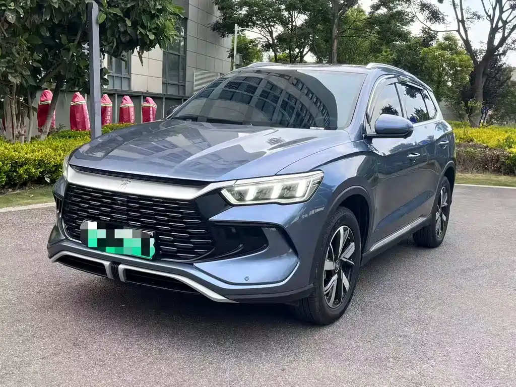 Song Pro New Energy 2024 Honor Edition DM-i 71KM Pilot