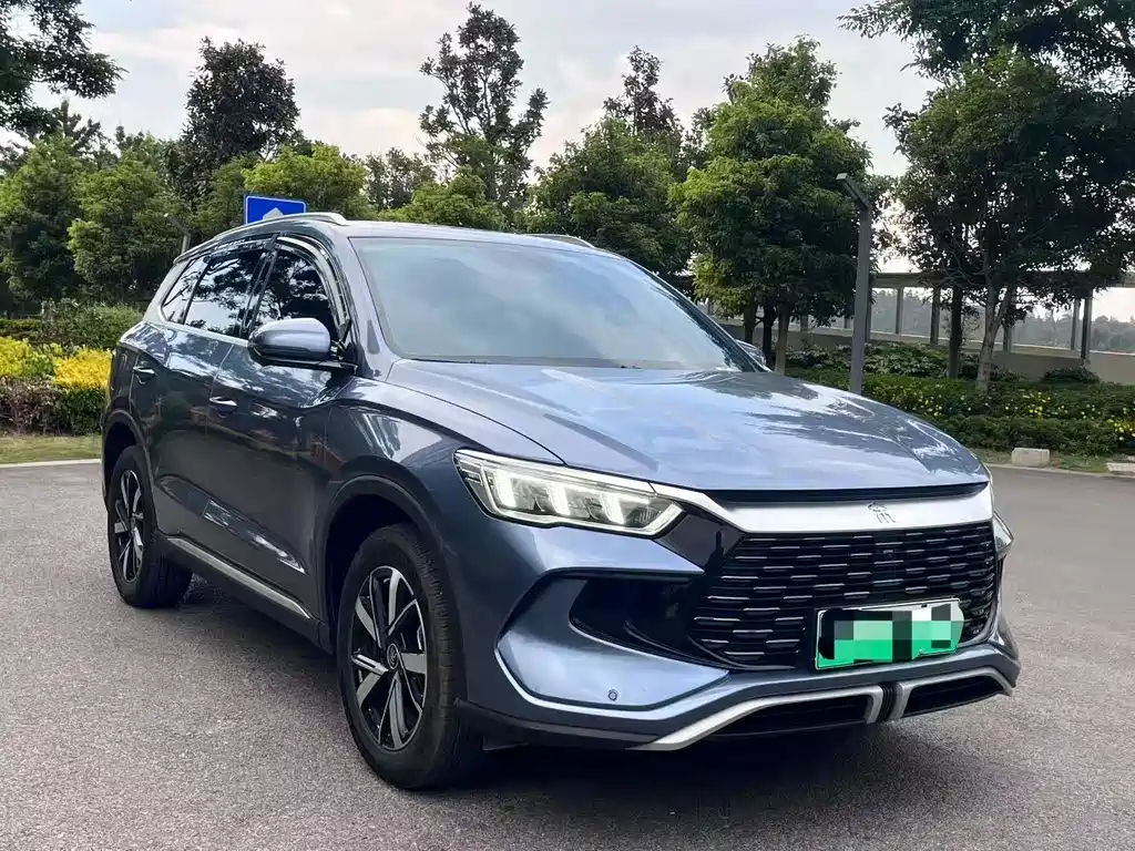 Song Pro New Energy 2024 Honor Edition DM-i 71KM Pilot