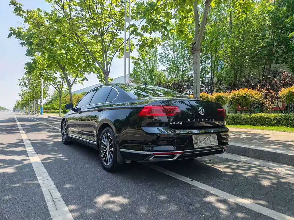 Volkswagen Magotan 2020 330TSI DSG Luxury Edition