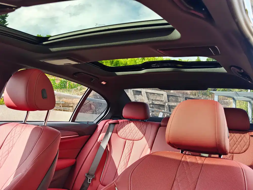 BMW 5 Series 2023 530Li M Sport