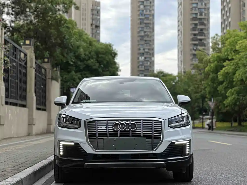 Audi Q2L e-tron 2019 Pure Electric Zhiku Trim