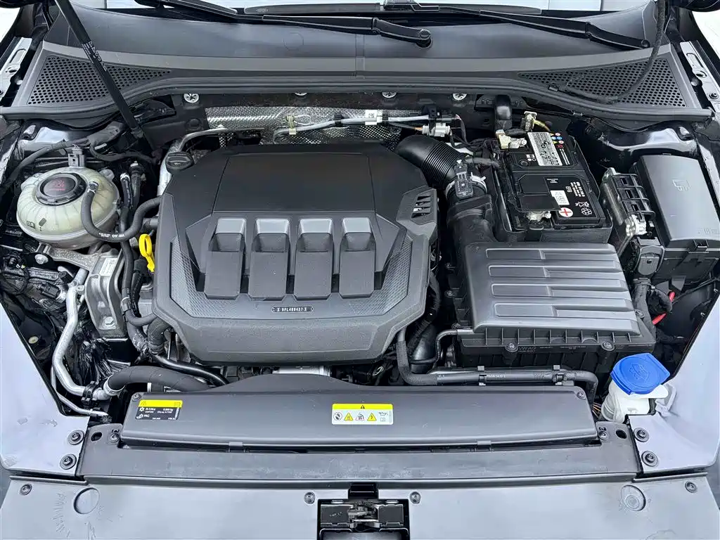 Volkswagen Magotan 2020 330TSI DSG Leading Edition