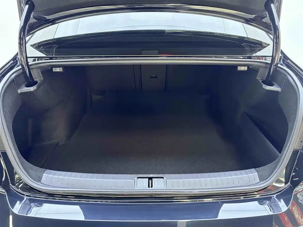 Volkswagen Magotan 2020 330TSI DSG Leading Edition