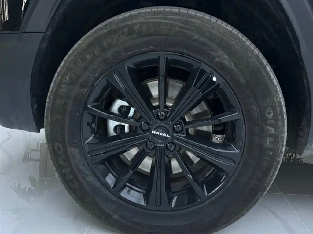 Haval Menglong New Energy 2024 Hi4 102 Pro