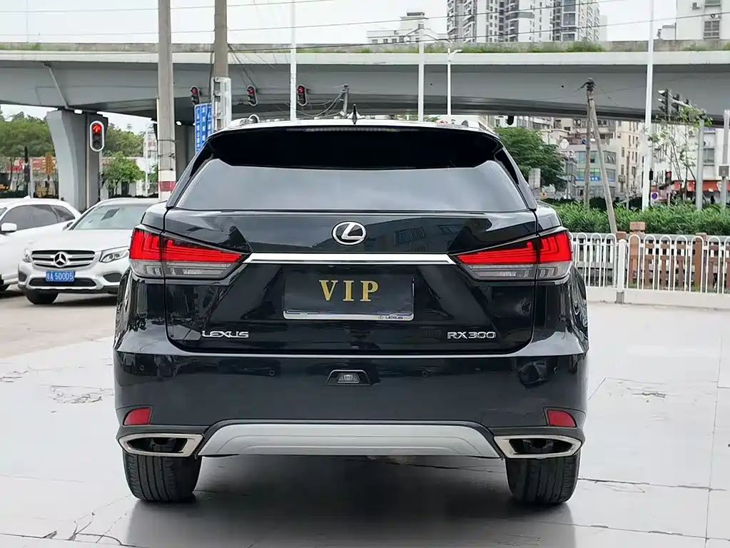 Lexus RX 300 AWD Elegant Edition 2020 China VI