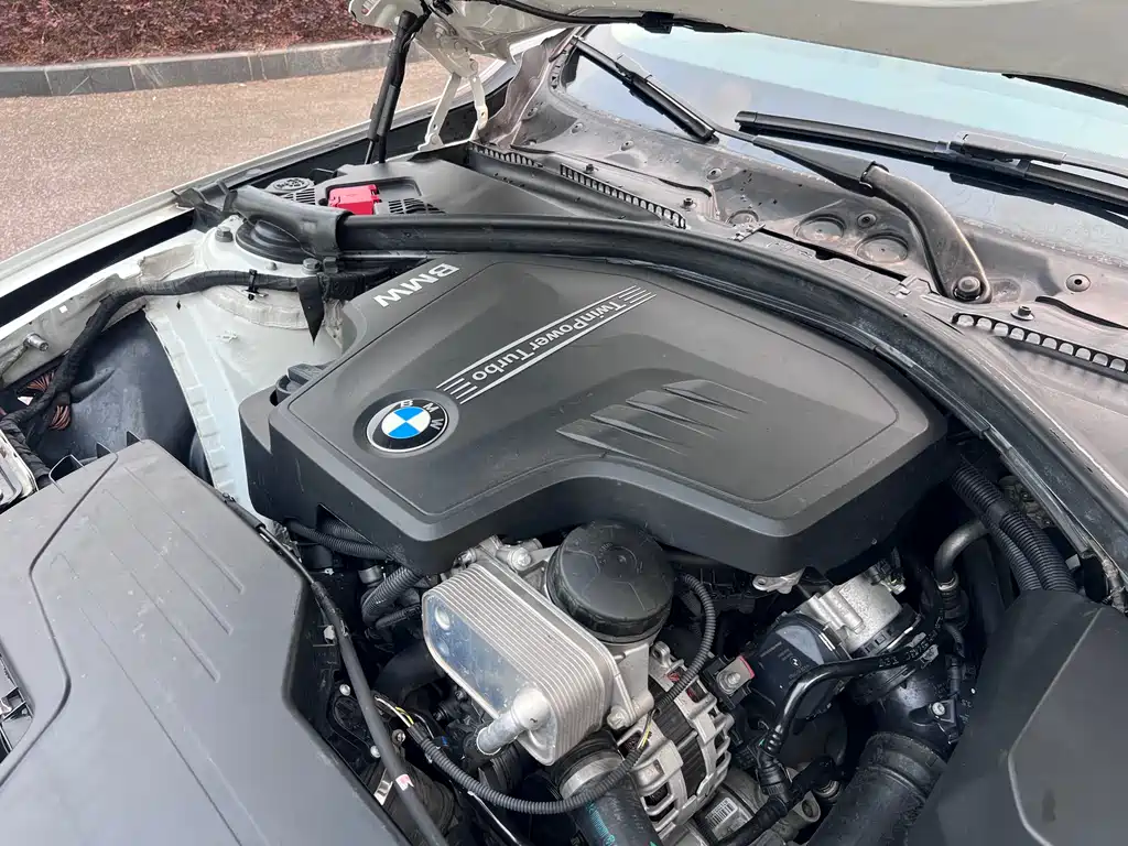 BMW 3 Series 2014 320Li Fashion Edition