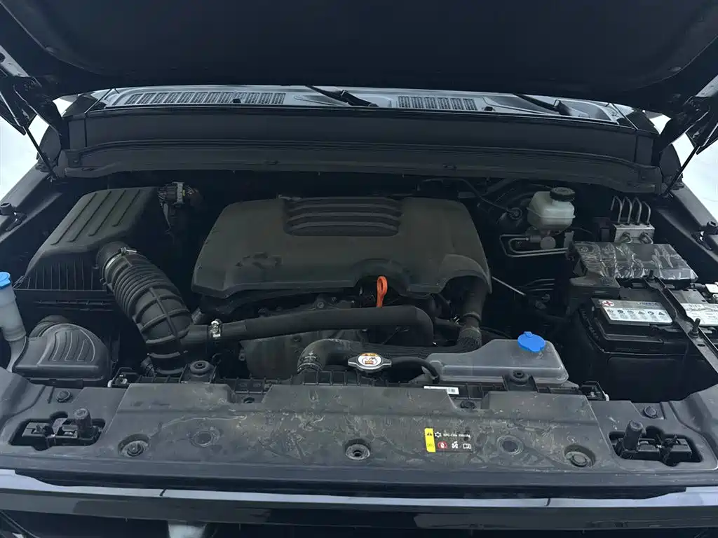 Tank 300 2023 Off-Road Edition 2.0T Challenger