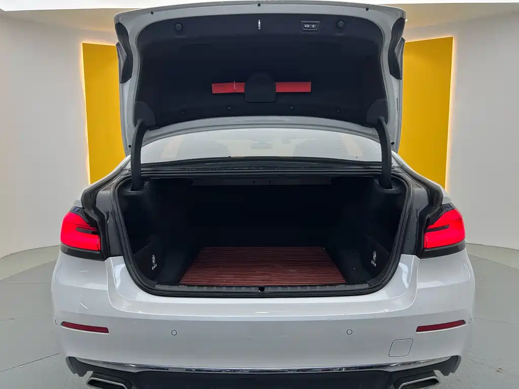 BMW 5 Series 2022 Facelift 530Li Leading Luxury Package