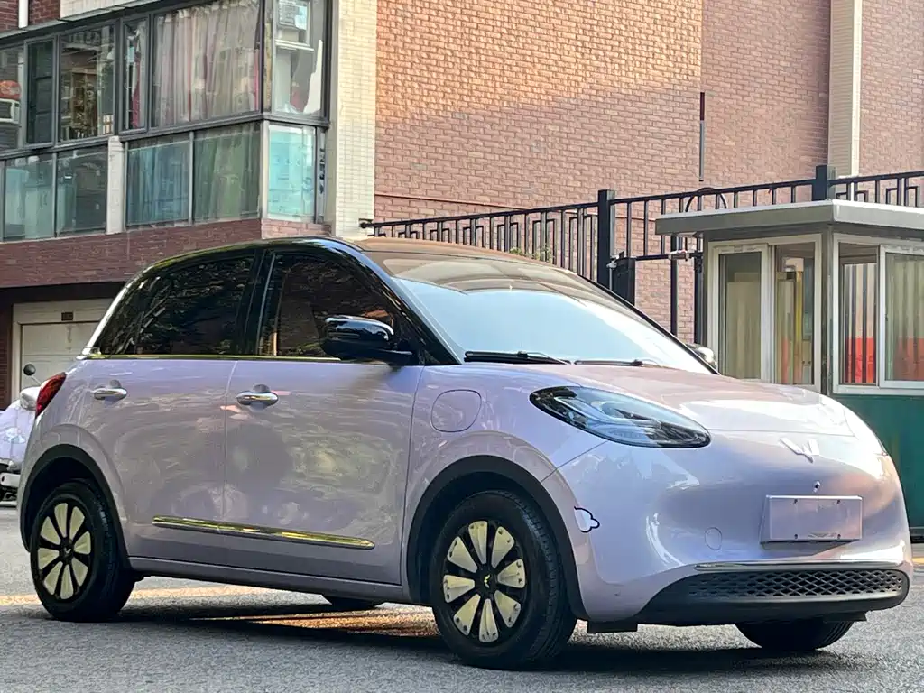 Wuling Bingo 2025 410km Lingxi Zunxiang Edition