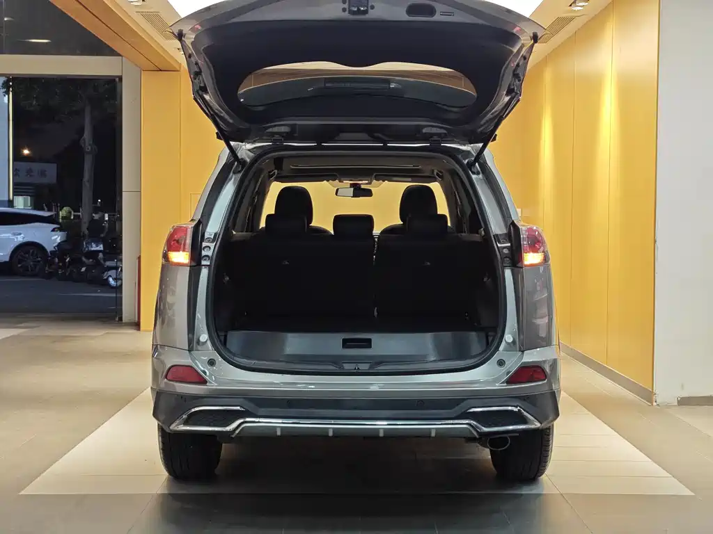 2019 Toyota RAV4 2.0L CVT FWD Fengshang Edition China VI