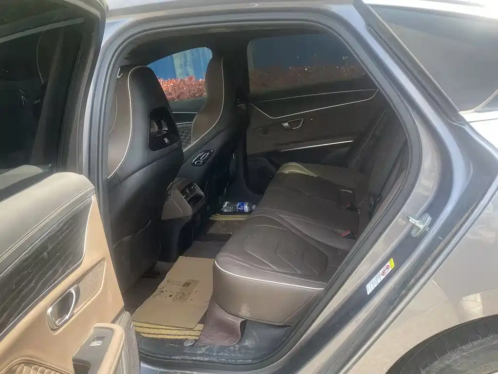Han 2020 DM AWD Performance Edition Luxury