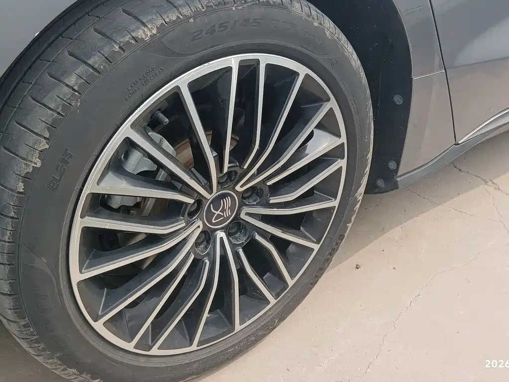 Han 2020 DM AWD Performance Edition Luxury